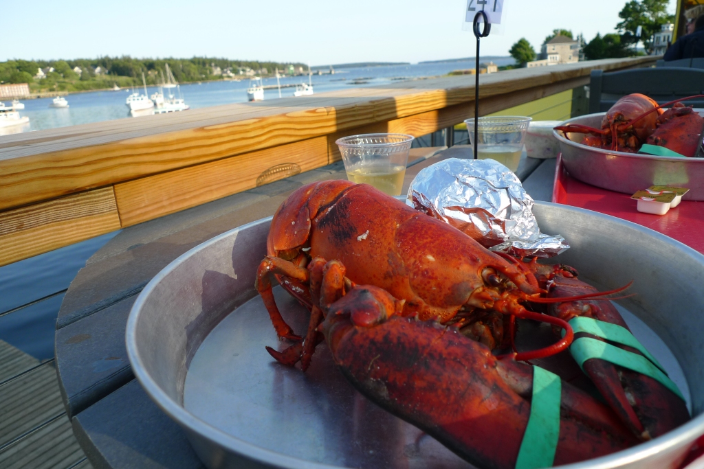Lobster – Maine’s fabulous food feast! – Tammy Tour Guide
