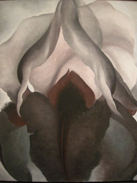 Georgia O'Keeffe at the Met Museum New York